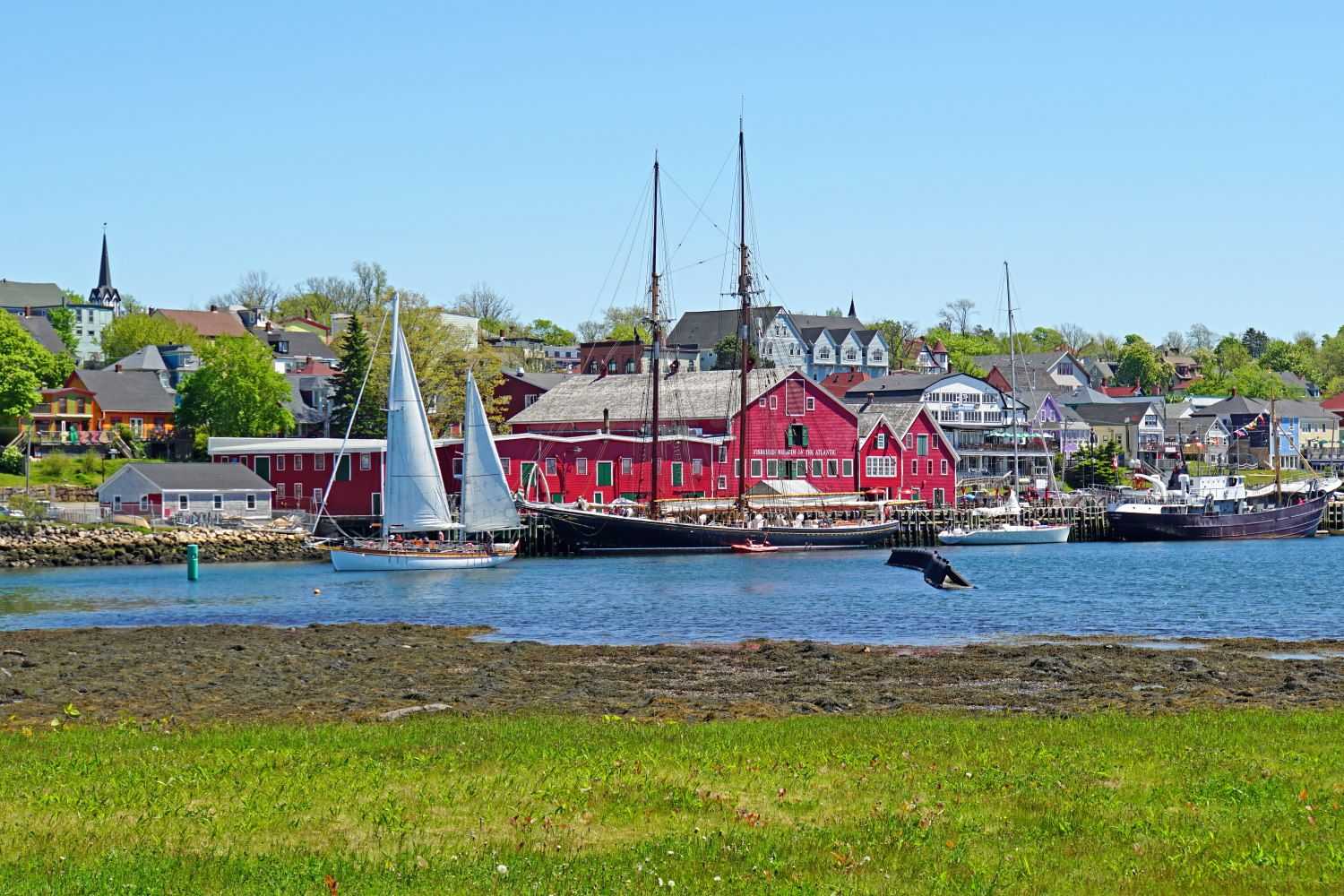 A picture of a harbor in Canada on a bright sunny day.